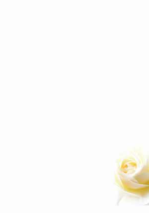 Dusty Rose Romance Wedding Background