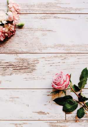 Boho Chic Wedding Background